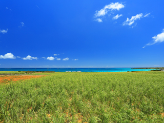 南大東島/沖縄県(日本)