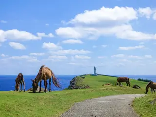 与那国島/沖縄県(日本)