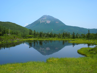 羅臼/北海道(日本)