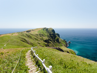 礼文島/北海道(日本)