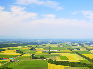 十勝/北海道(日本)