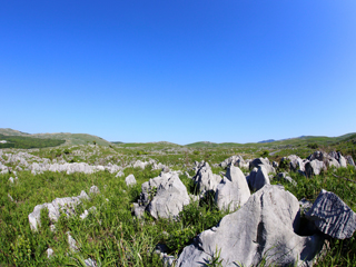 宇部/山口県(日本)