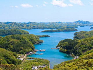 対馬/長崎県(日本)