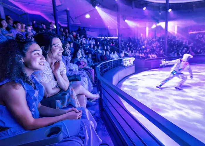 アイススケートショーが楽しめます。ご自身でスケートを楽しむこともできます