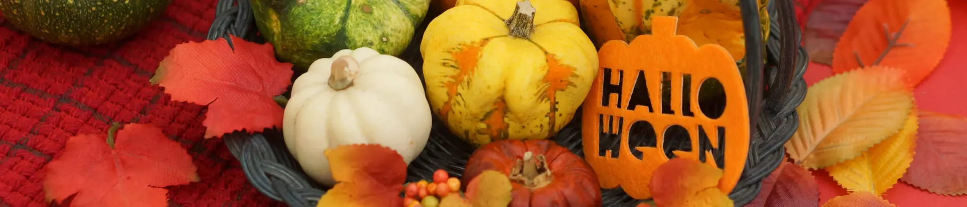 2026年 ハロウィーン特別商品