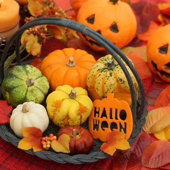 2026年 ハロウィーン特別商品