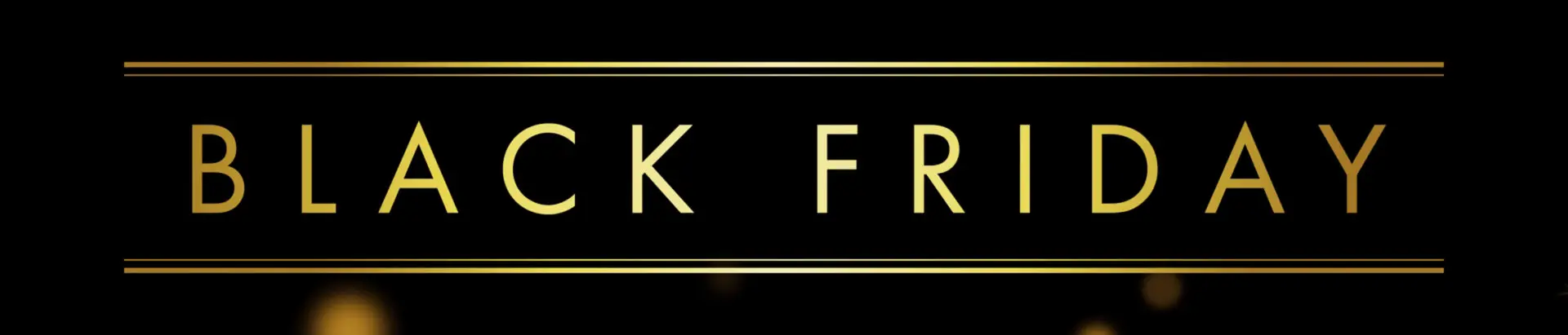 2025年 ブラックフライデー特別セール