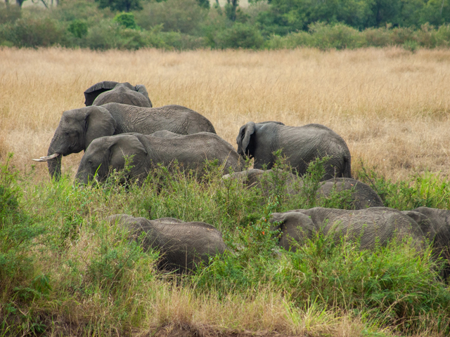 ポート・エリザベス(南アフリカ)
