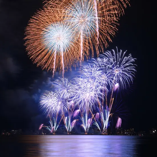 飛鳥Ⅱ・飛鳥Ⅲ 花火クルーズ特集！